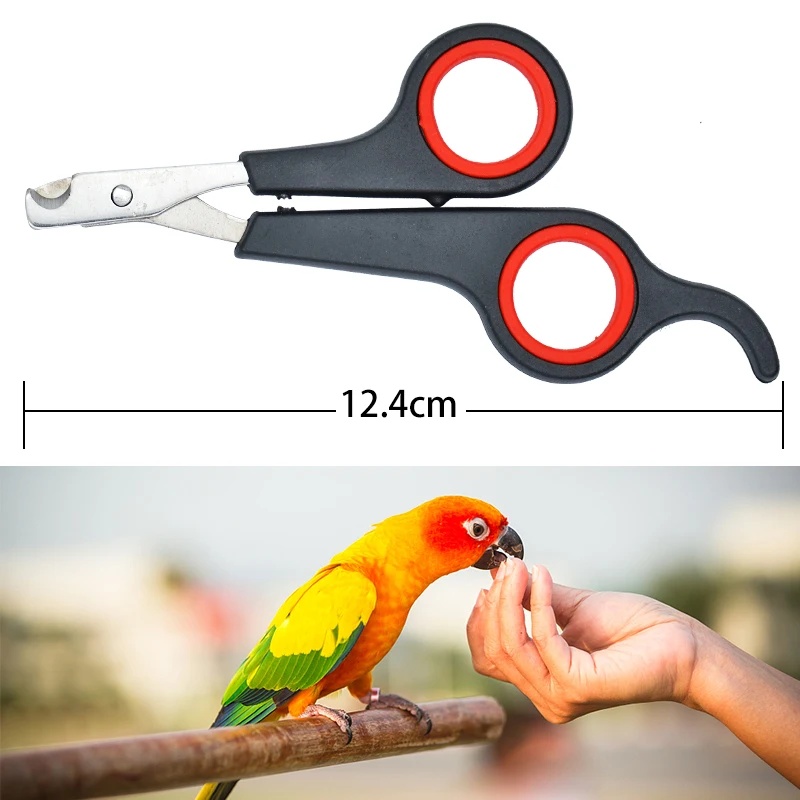 12cm Pet Parrot Nail Scissor D - Grooming Scissors review and price